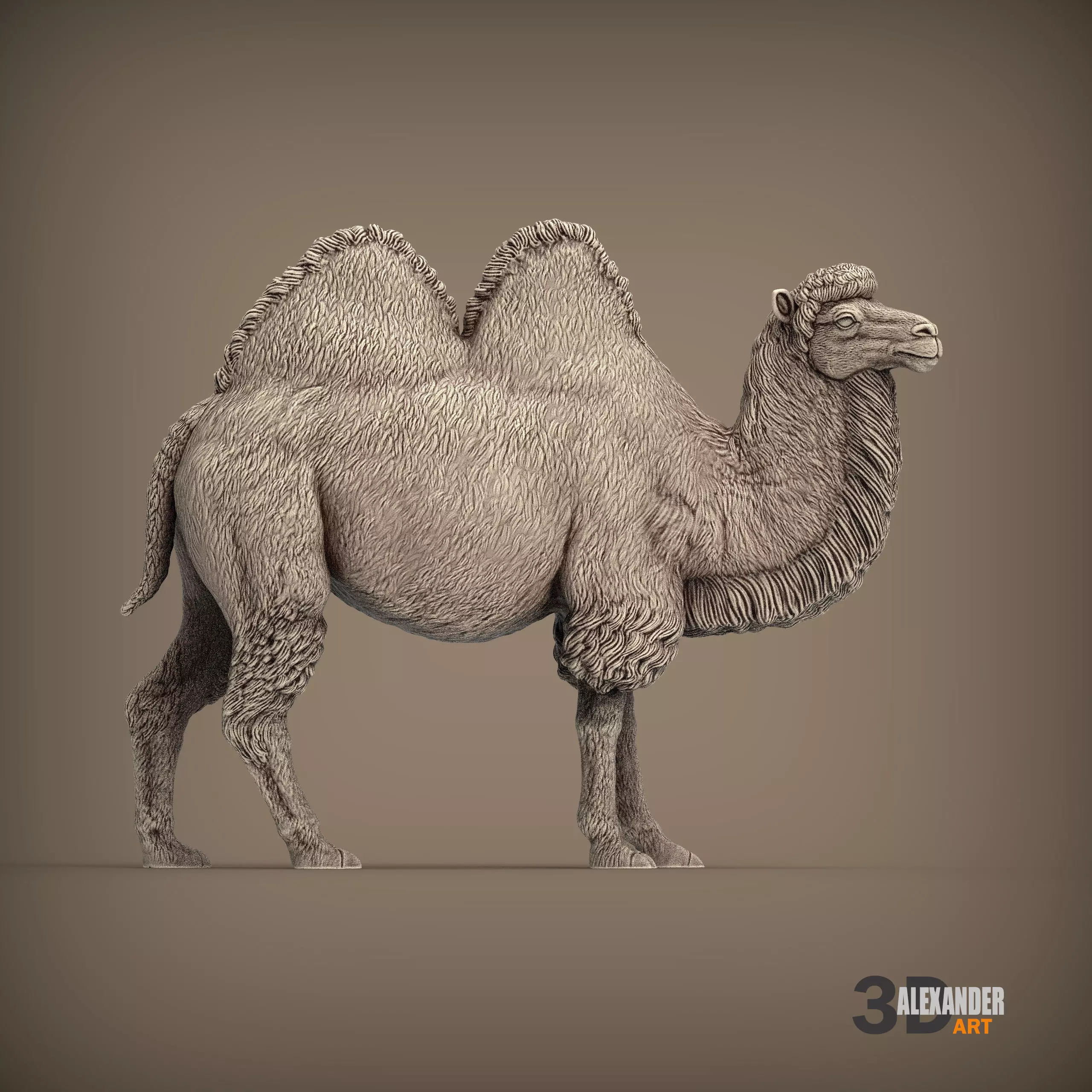 Bactrian camel 3D print model