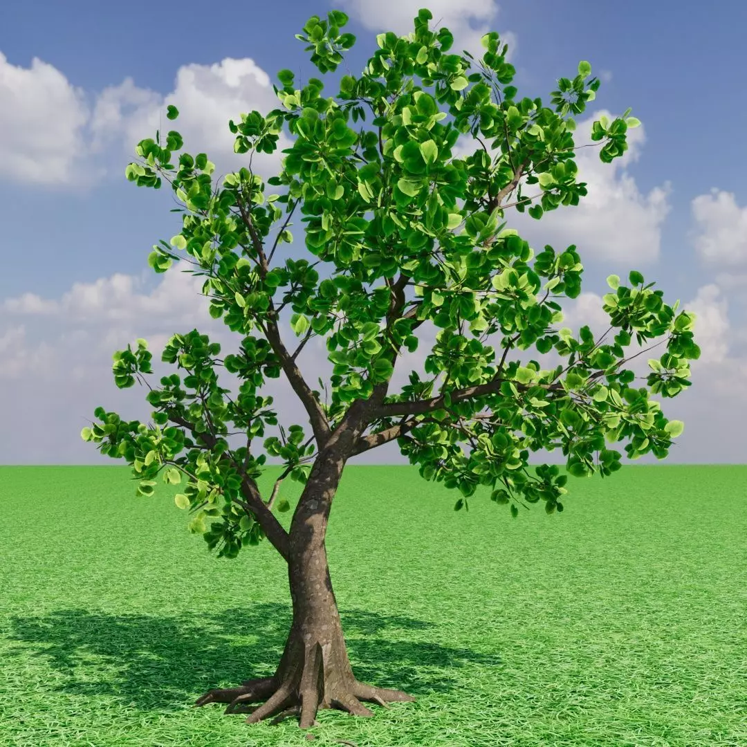 Tree1 Free 3D model