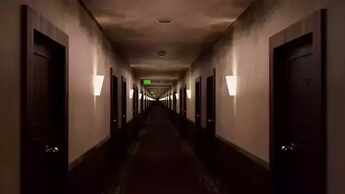 The Endless Corridor