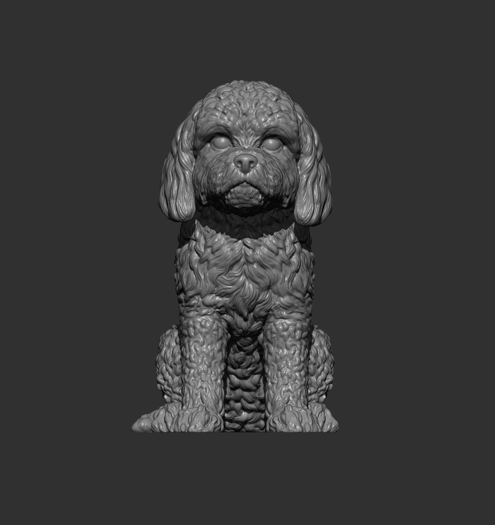 CockerPoo sitting 3D print model_10