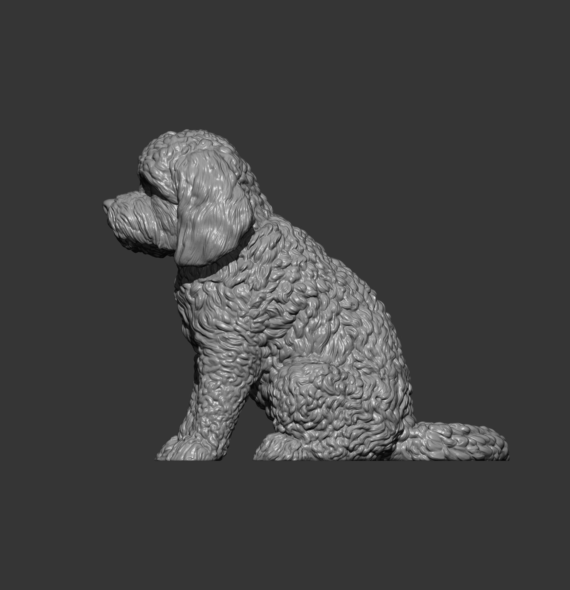CockerPoo sitting 3D print model_6