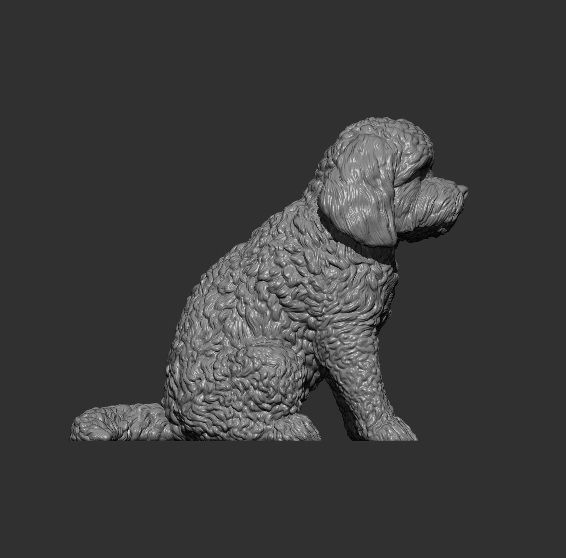 CockerPoo sitting 3D print model_8