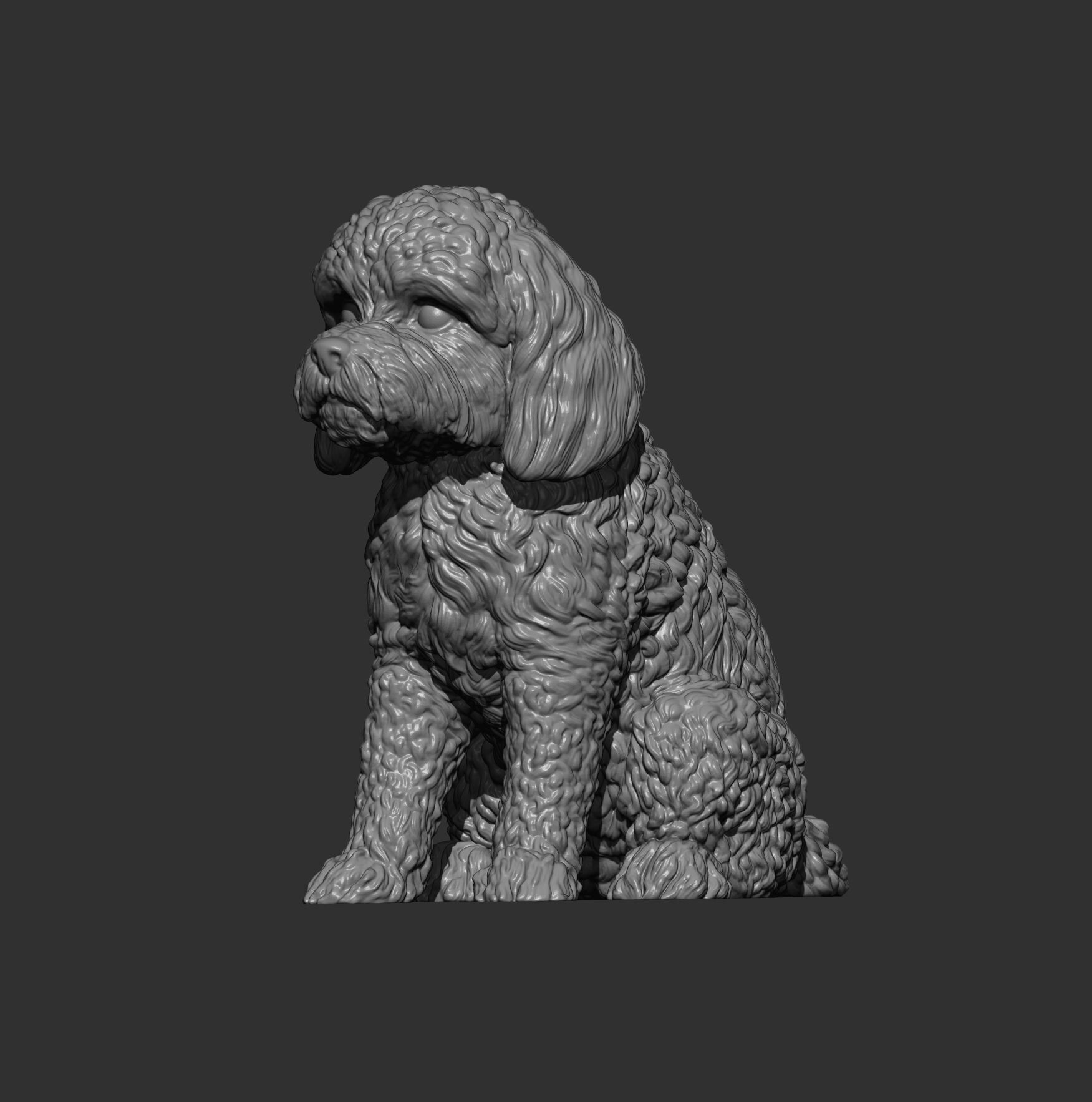 CockerPoo sitting 3D print model_7
