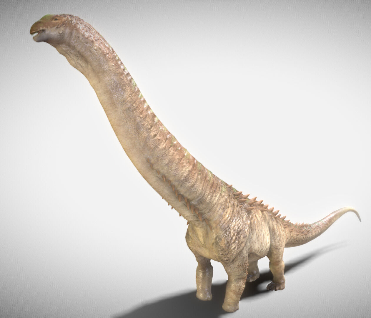 Alamosaurus The Titan of North America Low-poly 3D model_2