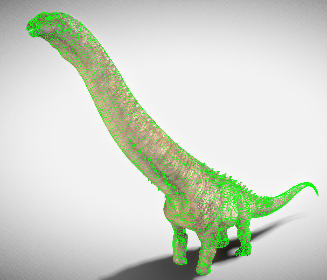 Alamosaurus The Titan of North America Low-poly 3D model_3