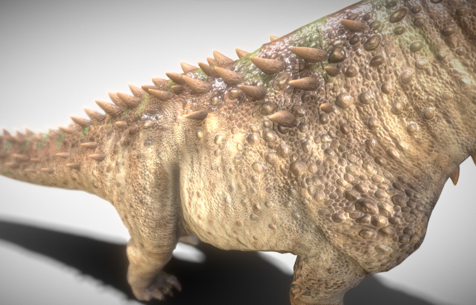 Alamosaurus The Titan of North America Low-poly 3D model_5