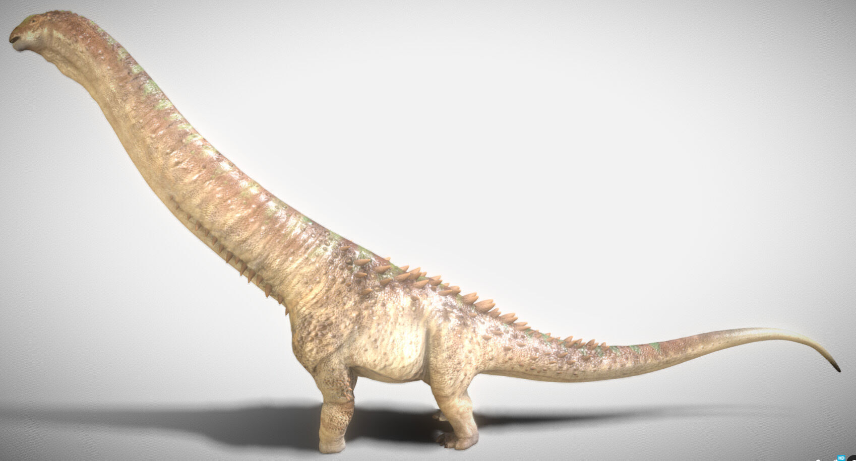 Alamosaurus The Titan of North America Low-poly 3D model_6