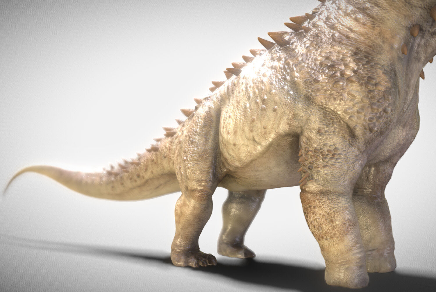 Alamosaurus The Titan of North America Low-poly 3D model_4