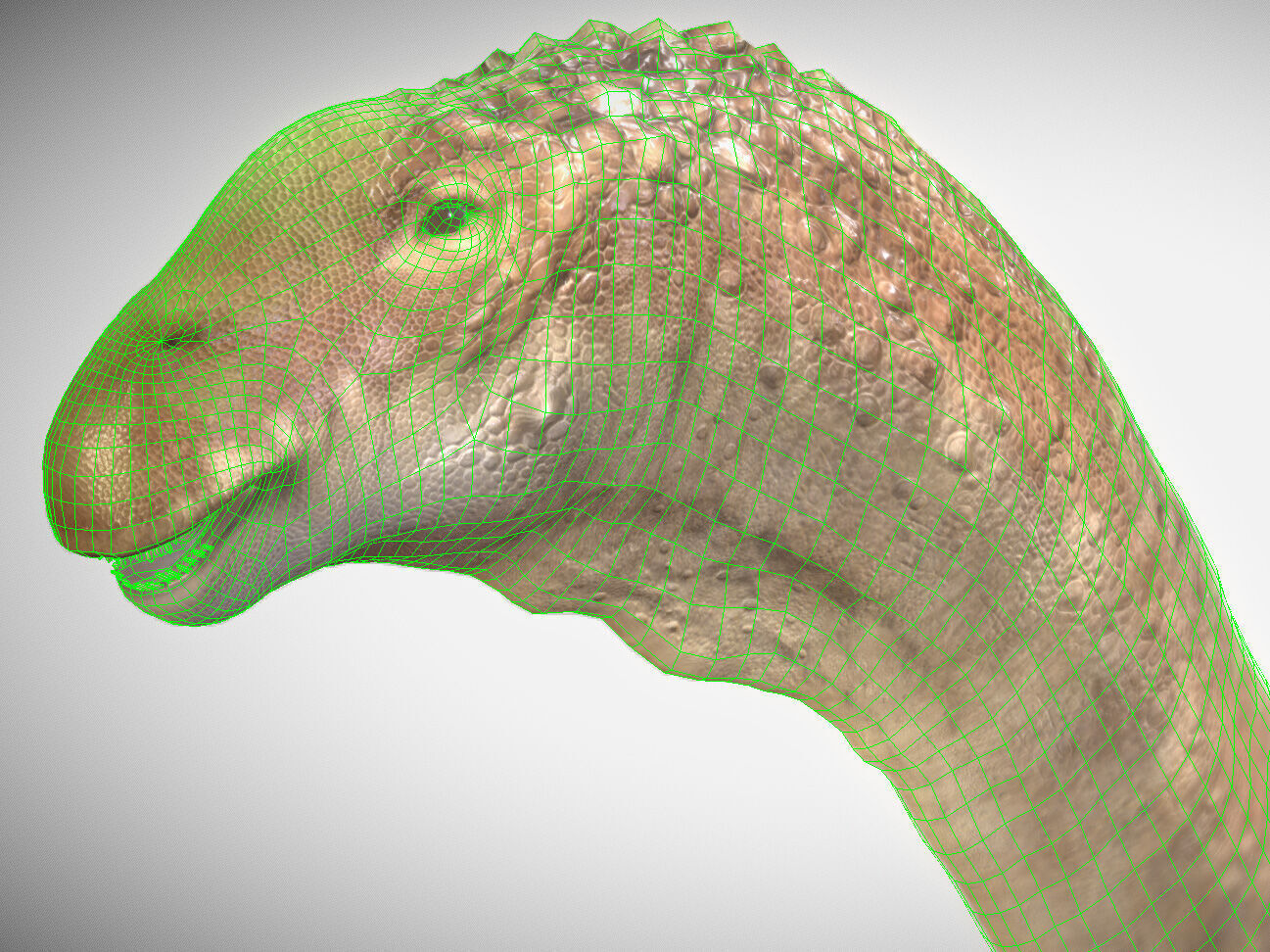 Alamosaurus The Titan of North America Low-poly 3D model_1