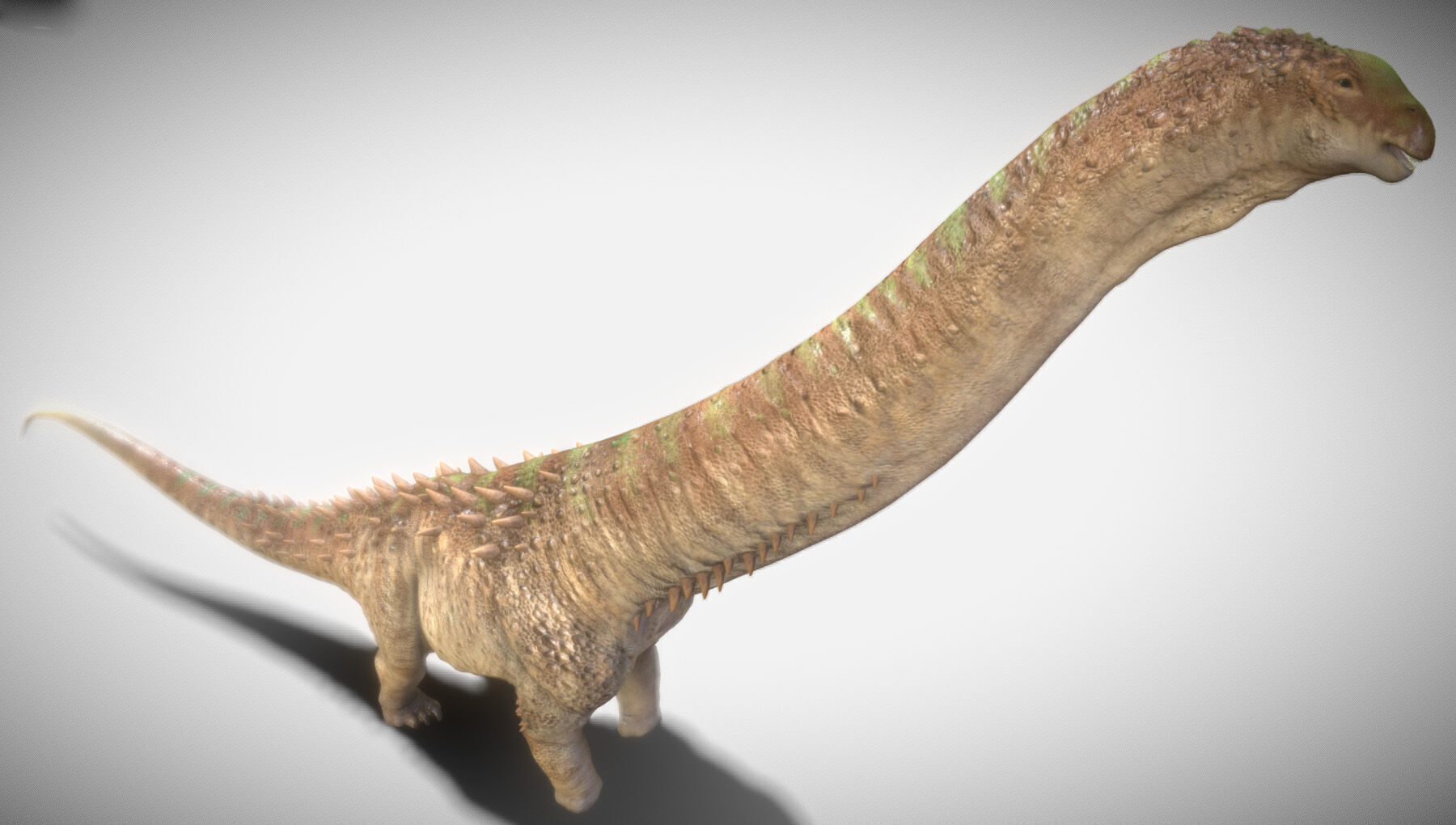 Alamosaurus The Titan of North America Low-poly 3D model_7