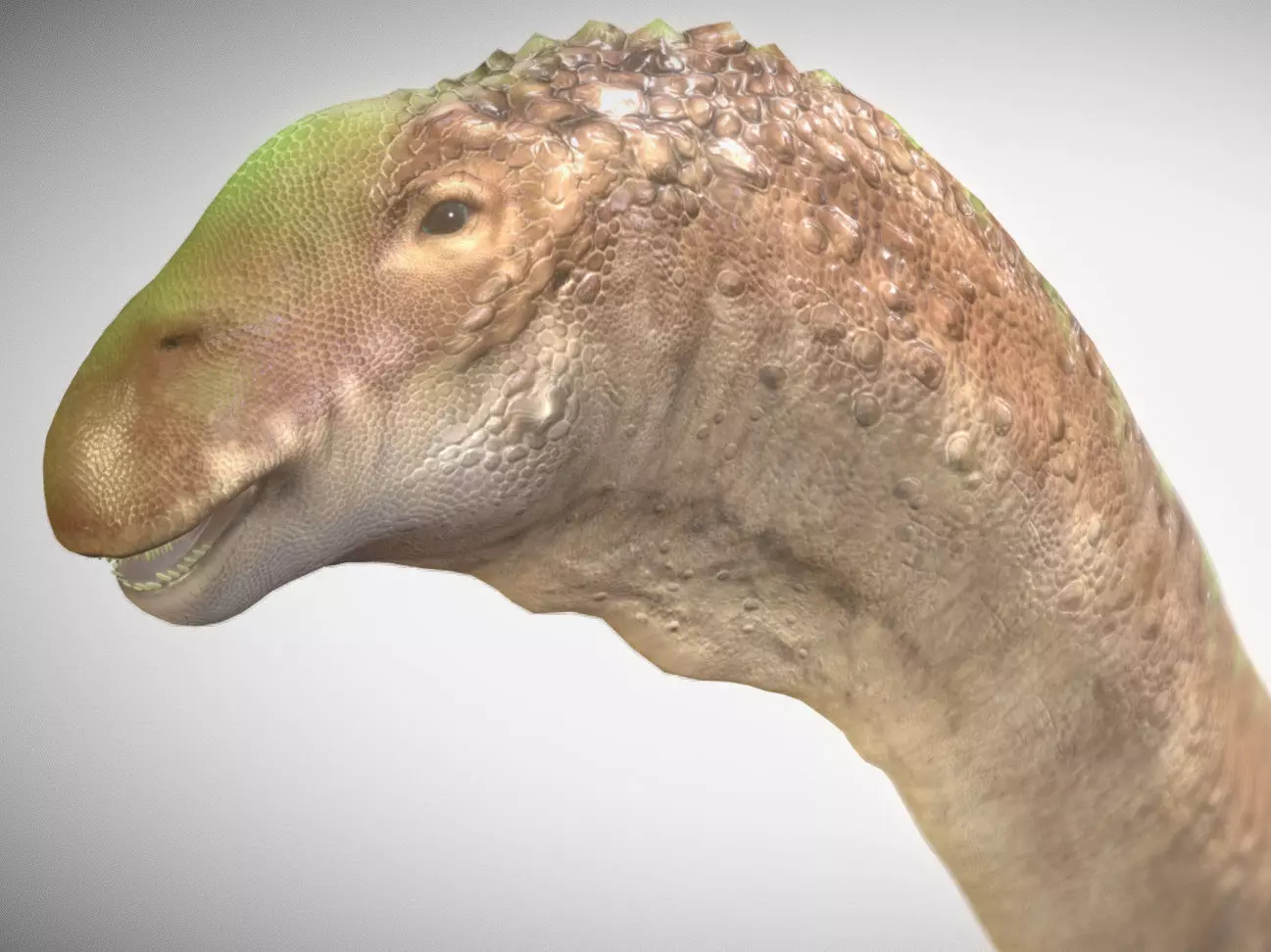 Alamosaurus The Titan of North America Low-poly 3D model_0