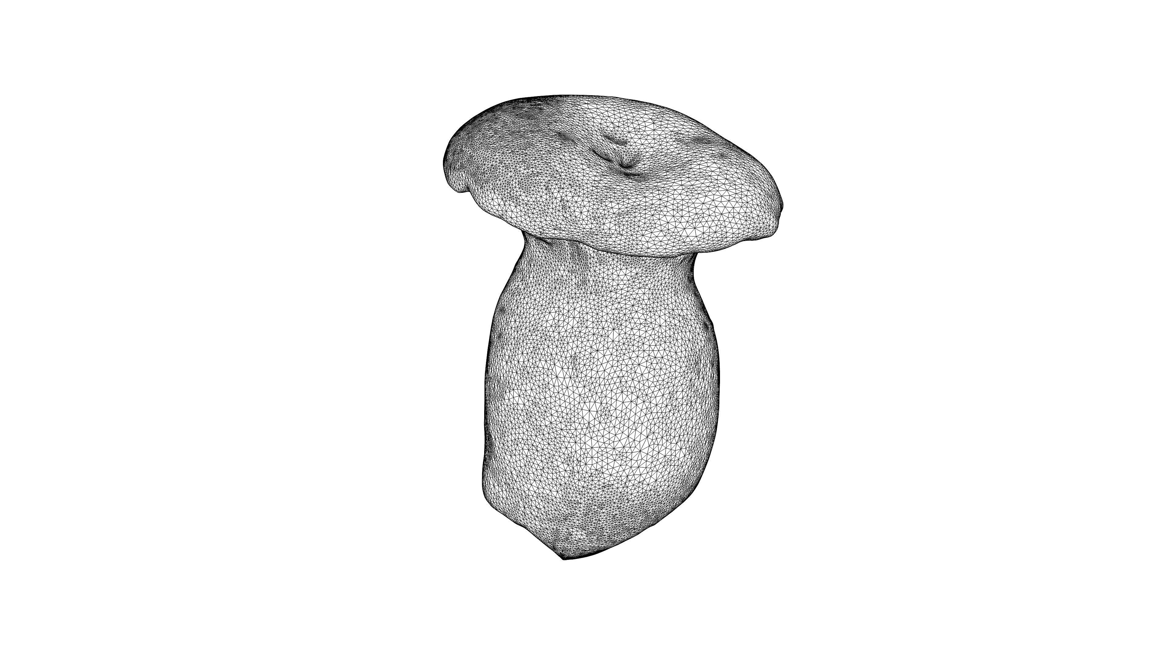 Photorealistic 3D scan of mushrooms 3D Model Collection _11