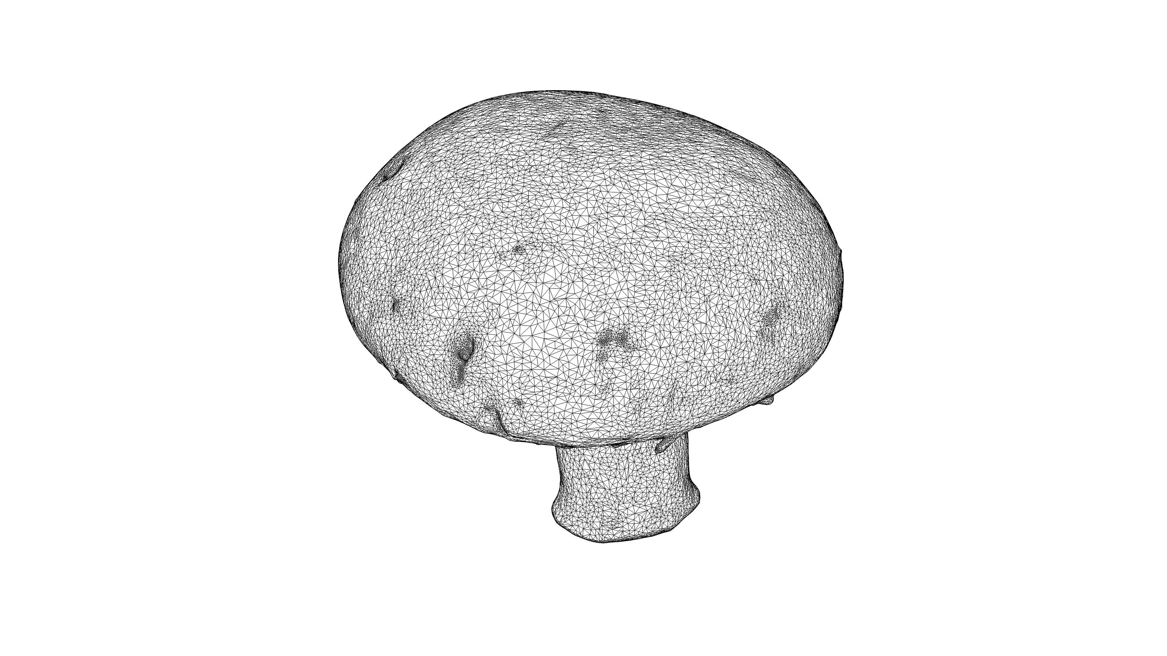 Photorealistic 3D scan of mushrooms 3D Model Collection _21