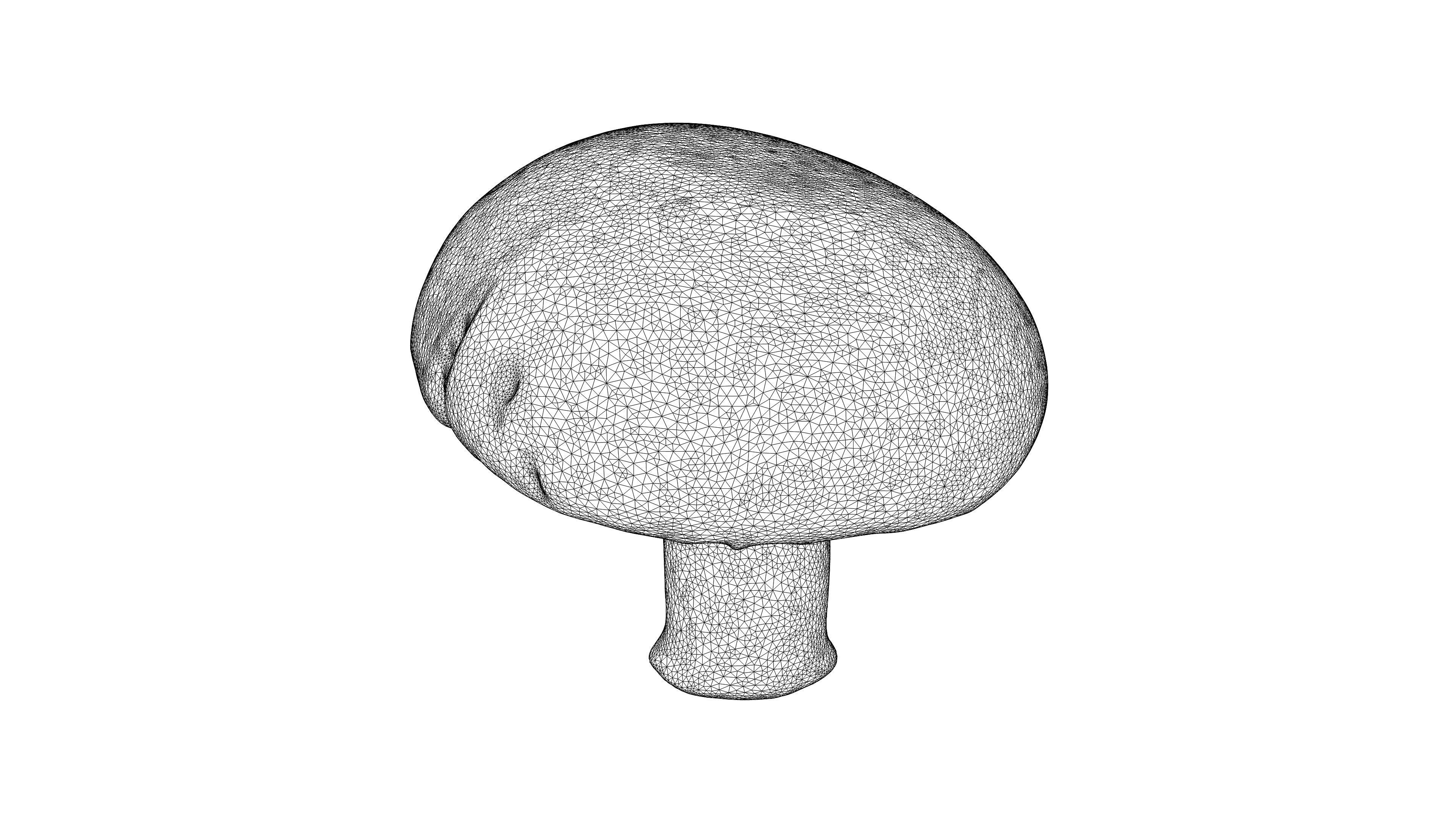 Photorealistic 3D scan of mushrooms 3D Model Collection _17