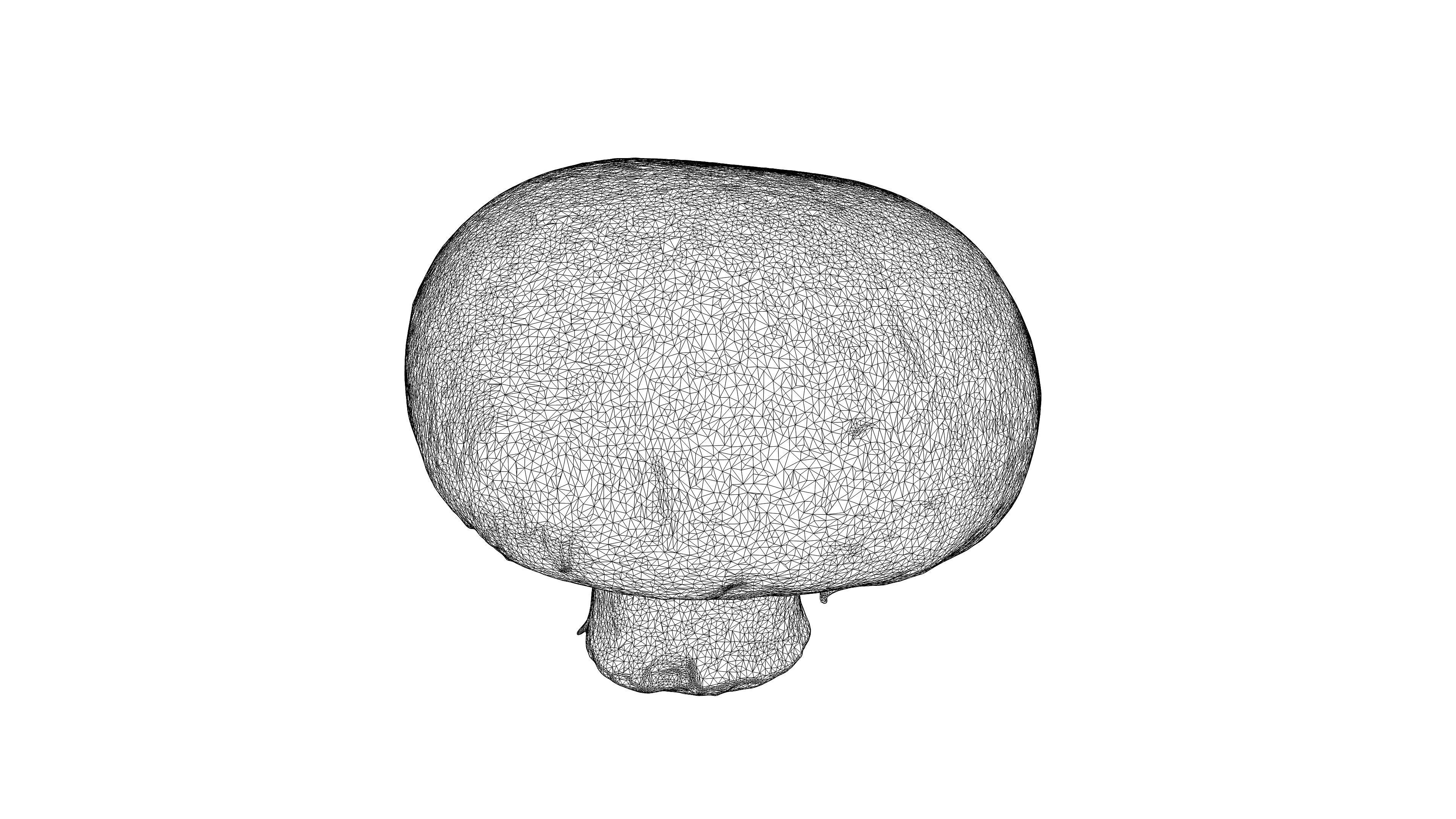 Photorealistic 3D scan of mushrooms 3D Model Collection _19