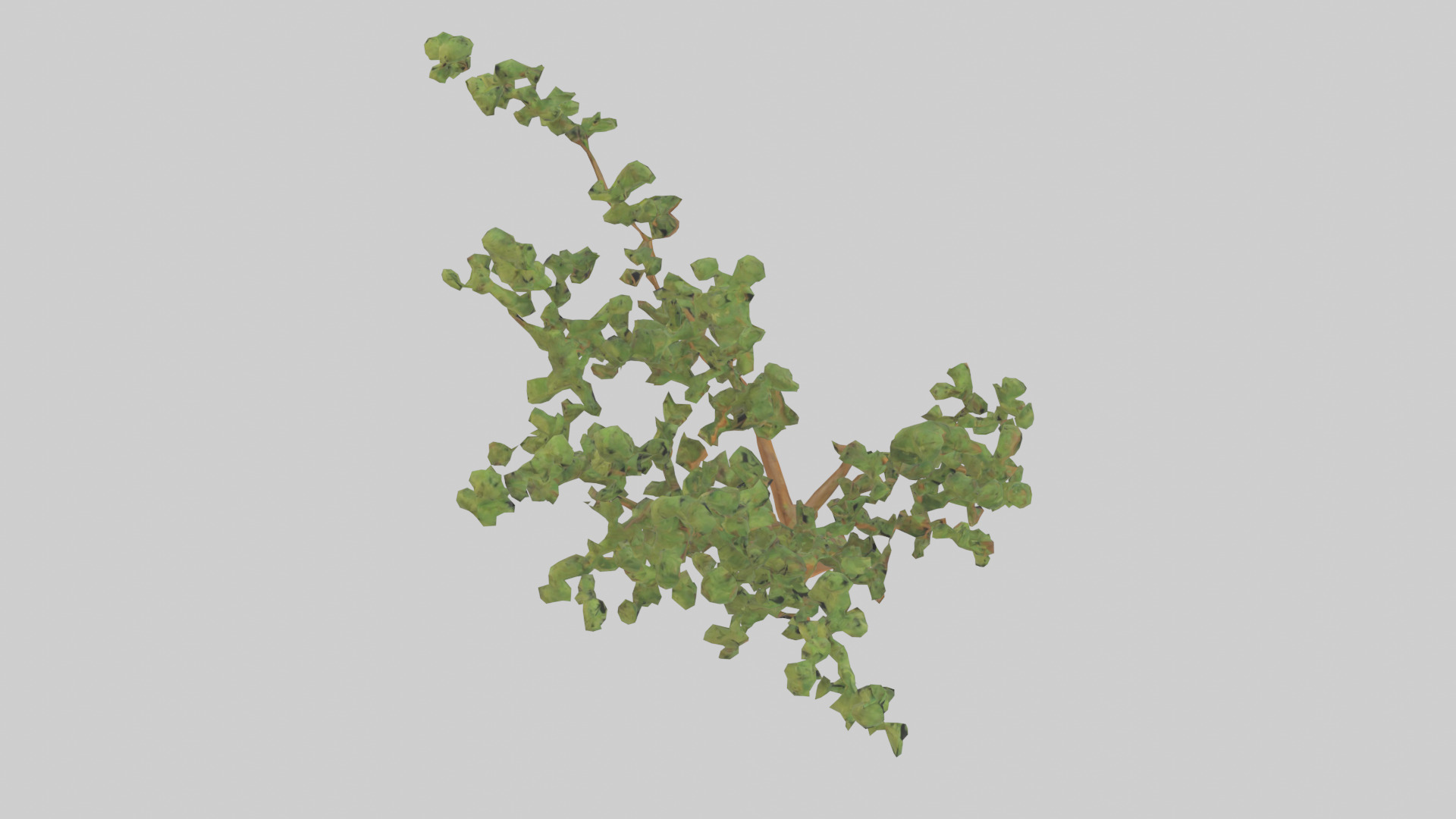 Honey Locust tree model Low-poly 3D model_18