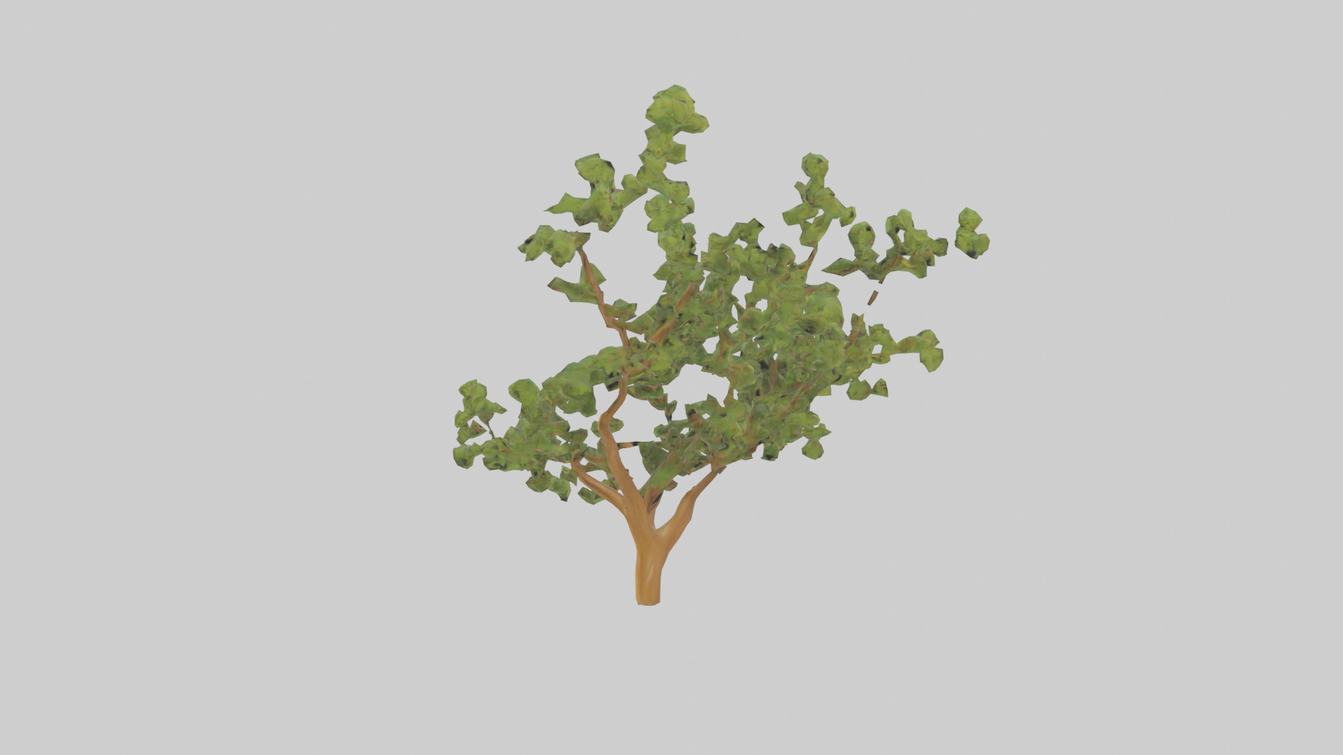 Honey Locust tree model Low-poly 3D model_1