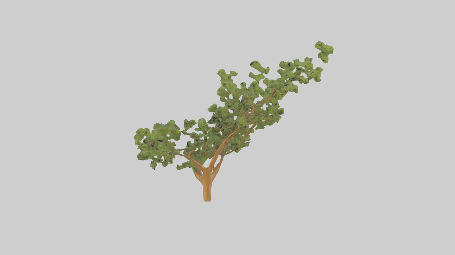 Honey Locust tree model Low-poly 3D model_12