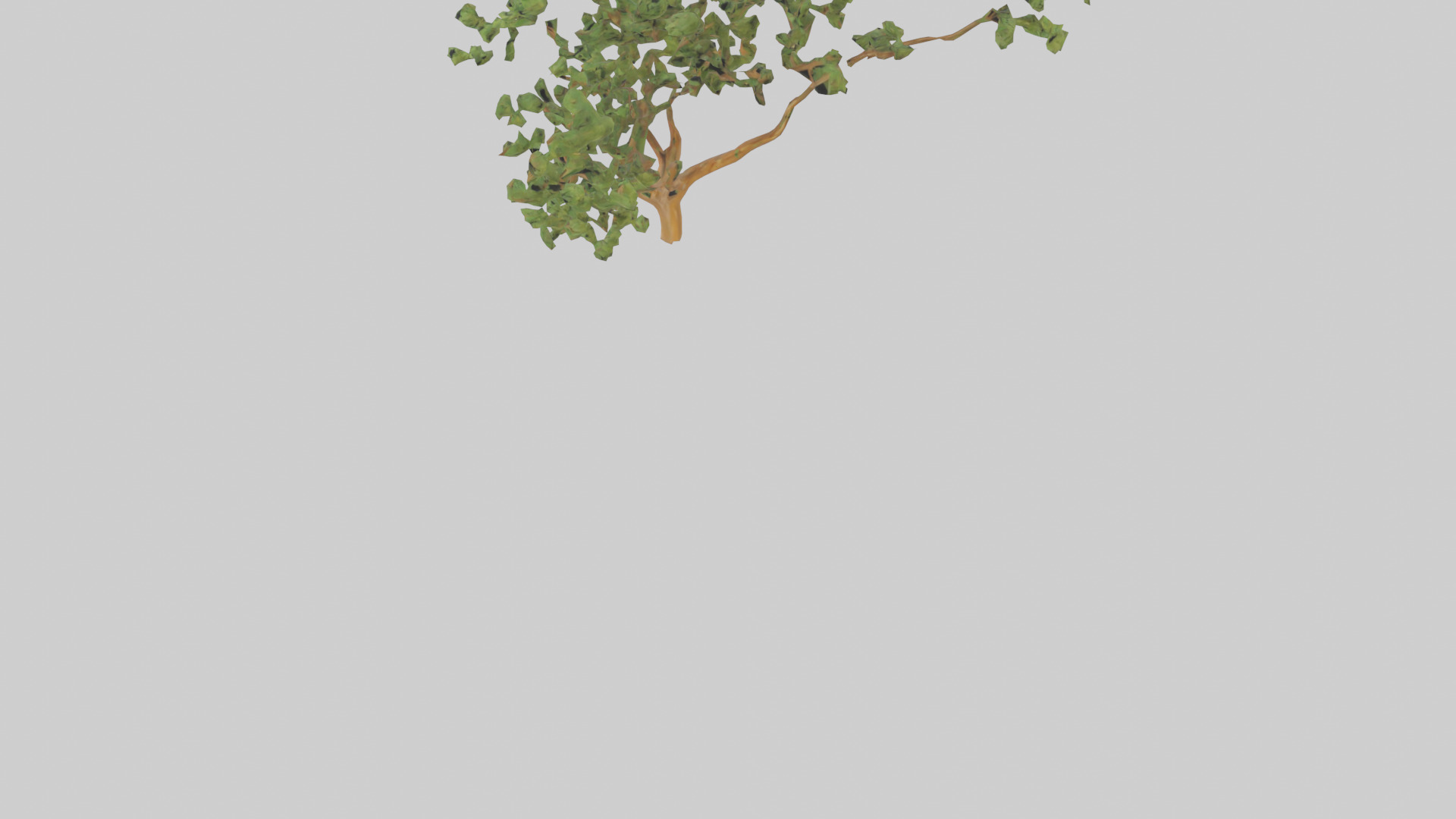 Honey Locust tree model Low-poly 3D model_5