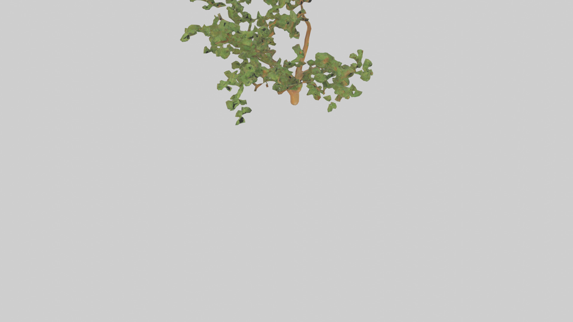 Honey Locust tree model Low-poly 3D model_6