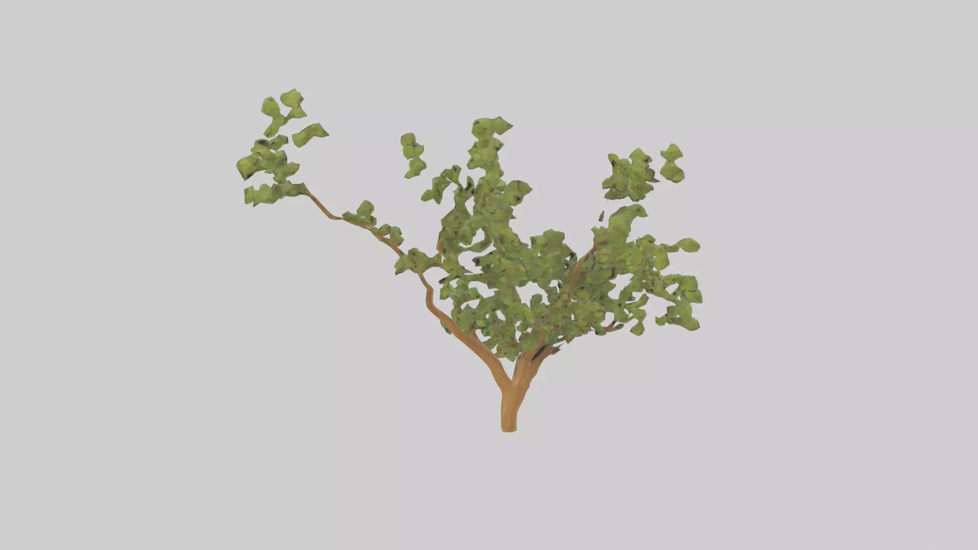 Honey Locust tree model Low-poly 3D model_0