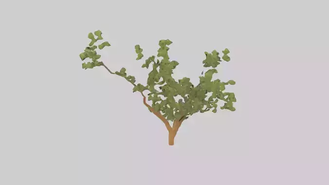Honey Locust tree model Low-poly 3D model
