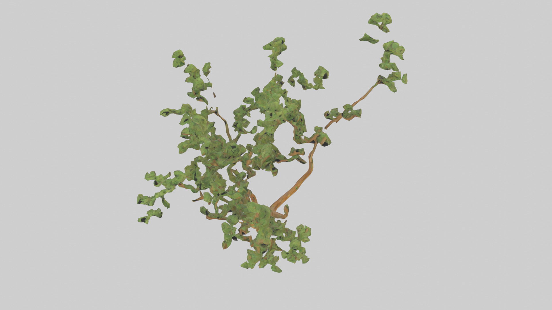 Honey Locust tree model Low-poly 3D model_16