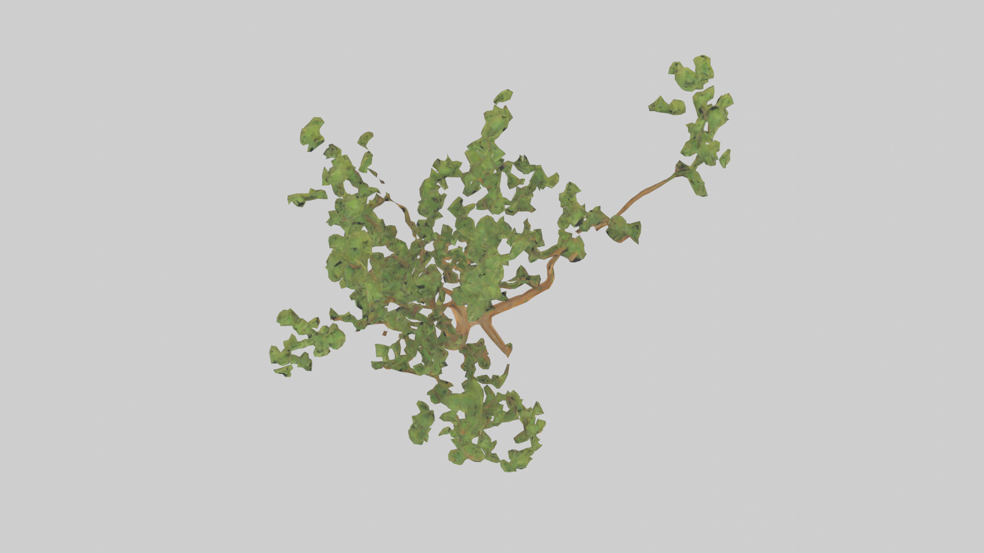Honey Locust tree model Low-poly 3D model_14