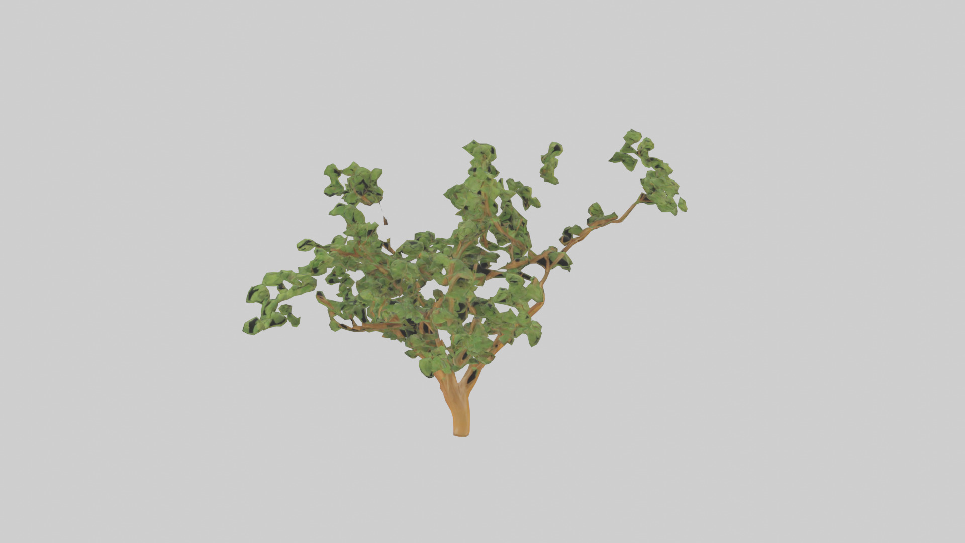 Honey Locust tree model Low-poly 3D model_9