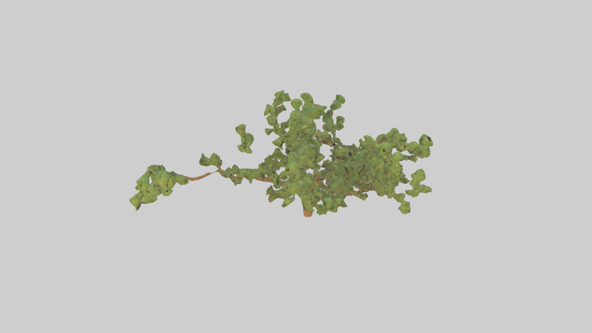 Honey Locust tree model Low-poly 3D model_15