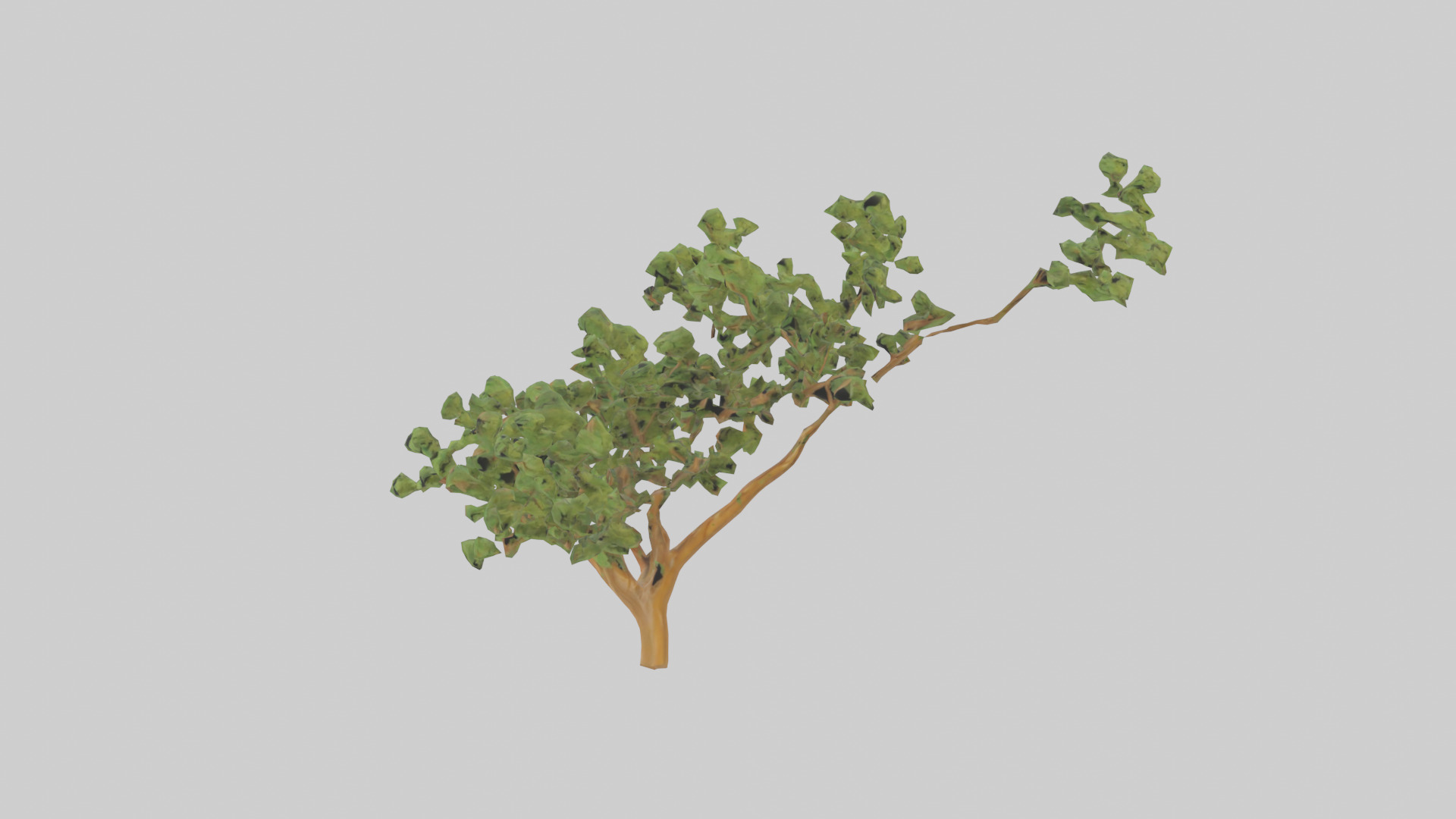 Honey Locust tree model Low-poly 3D model_8