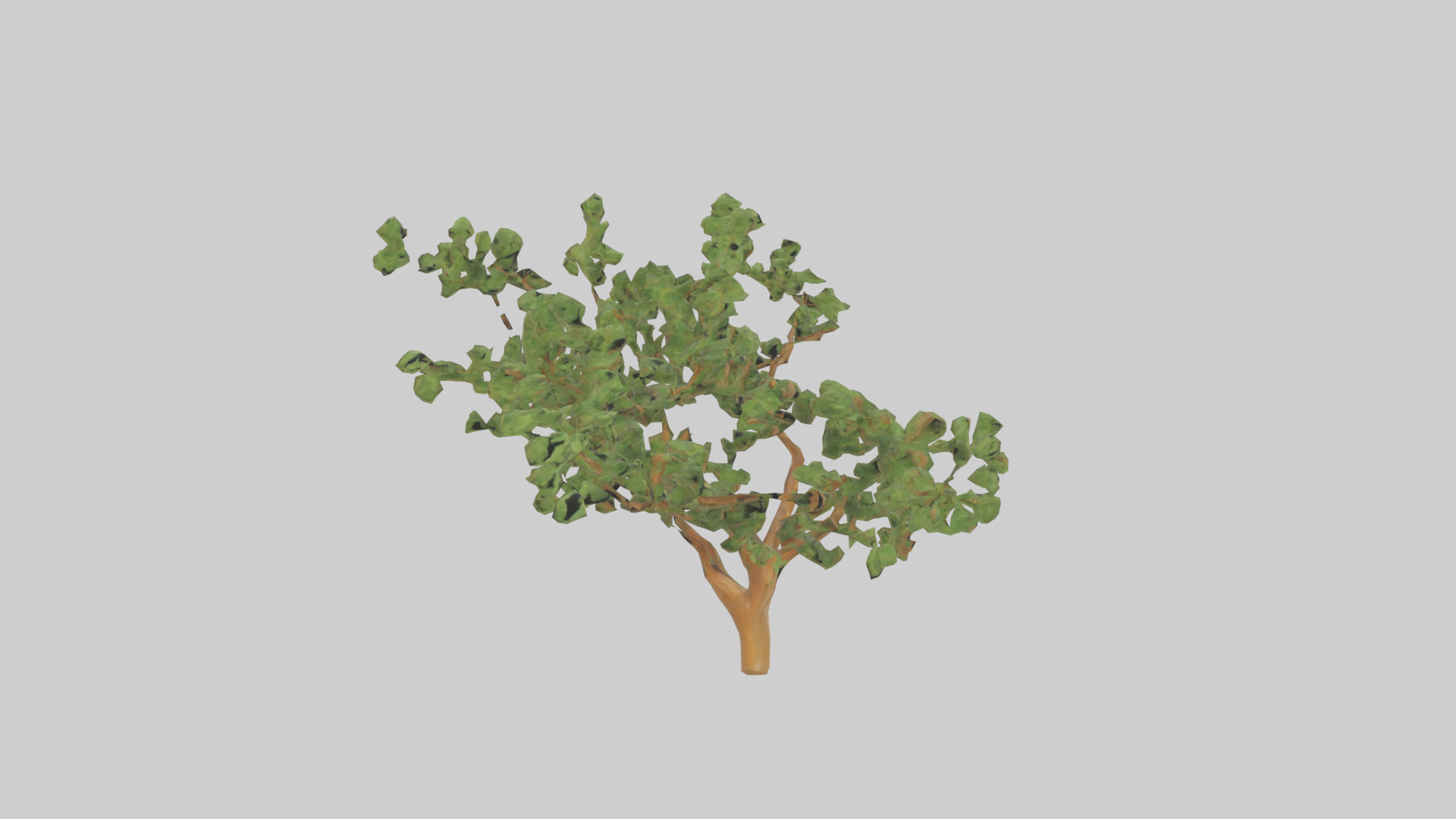 Honey Locust tree model Low-poly 3D model_11