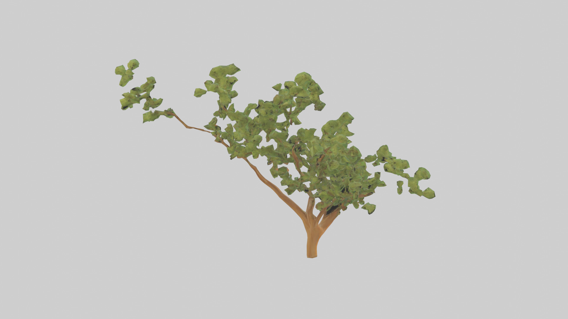 Honey Locust tree model Low-poly 3D model_2