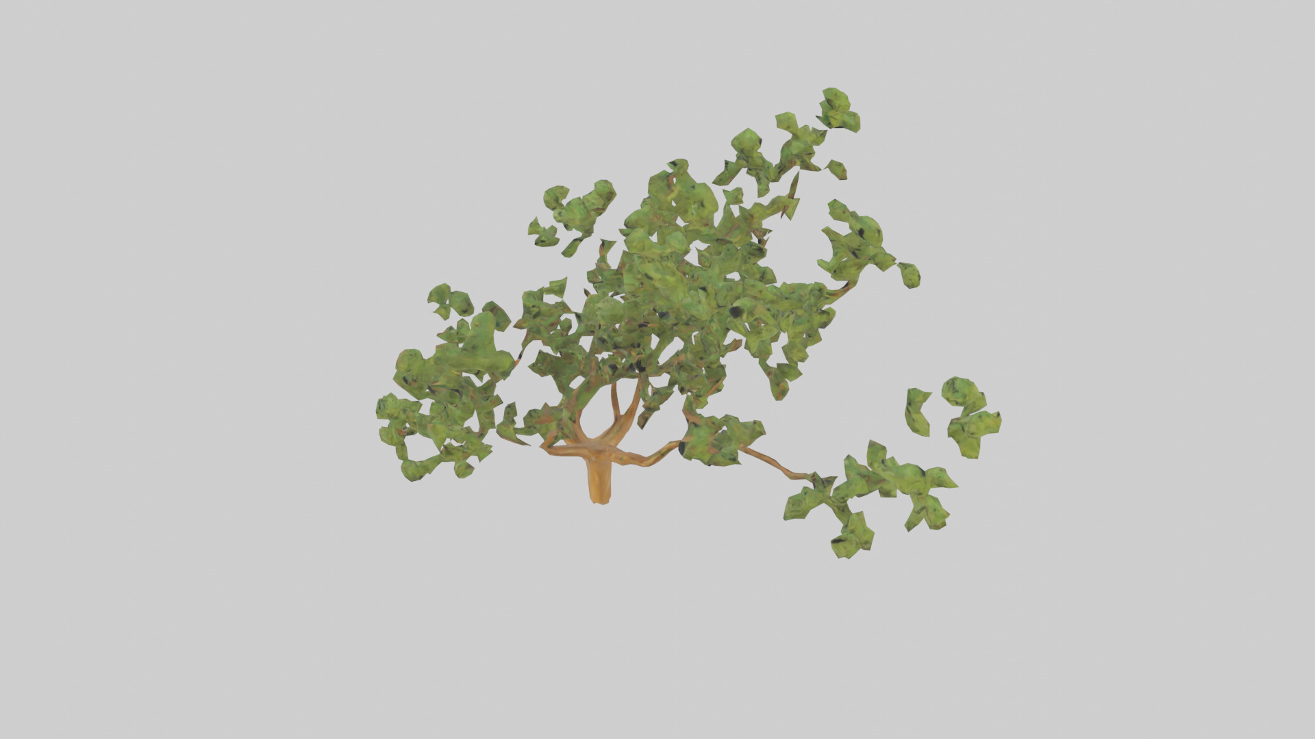 Honey Locust tree model Low-poly 3D model_17