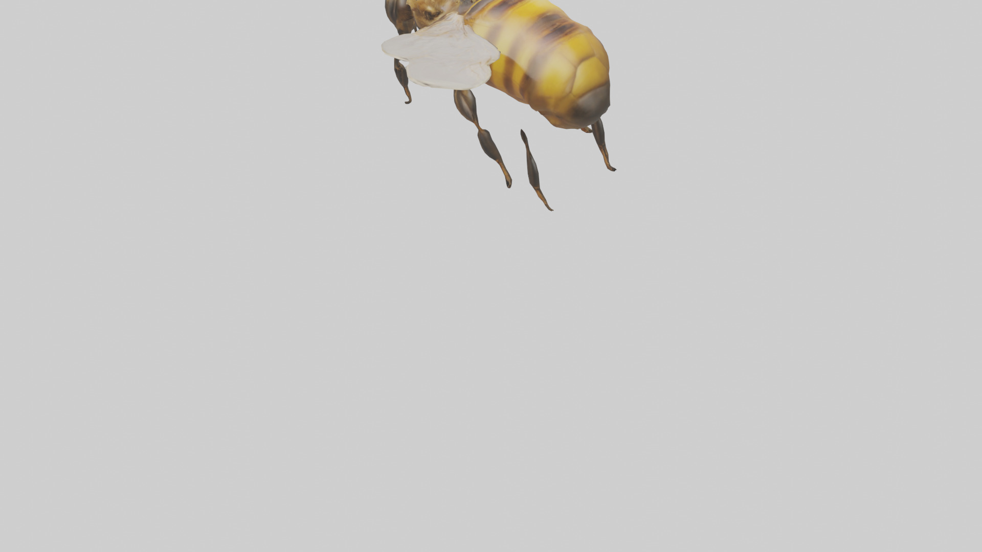 Honeybee flying model Low-poly 3D model_4
