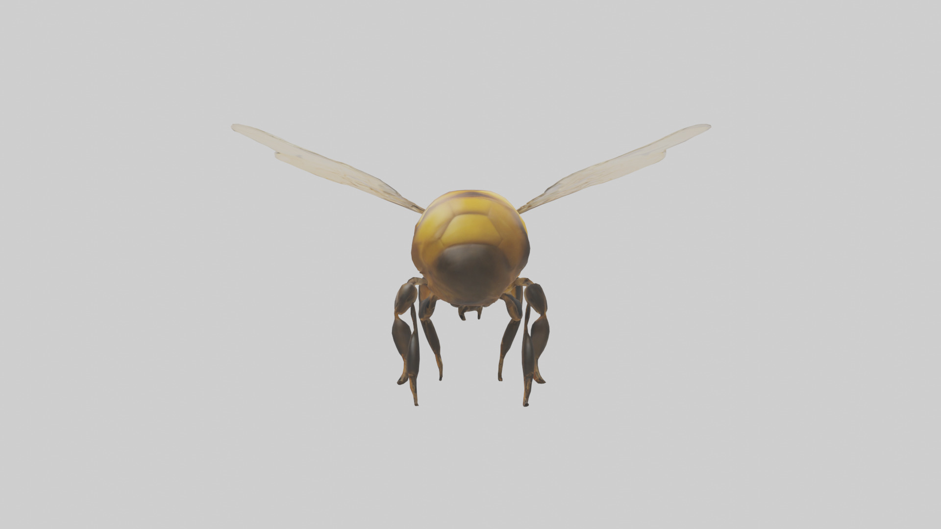 Honeybee flying model Low-poly 3D model_1