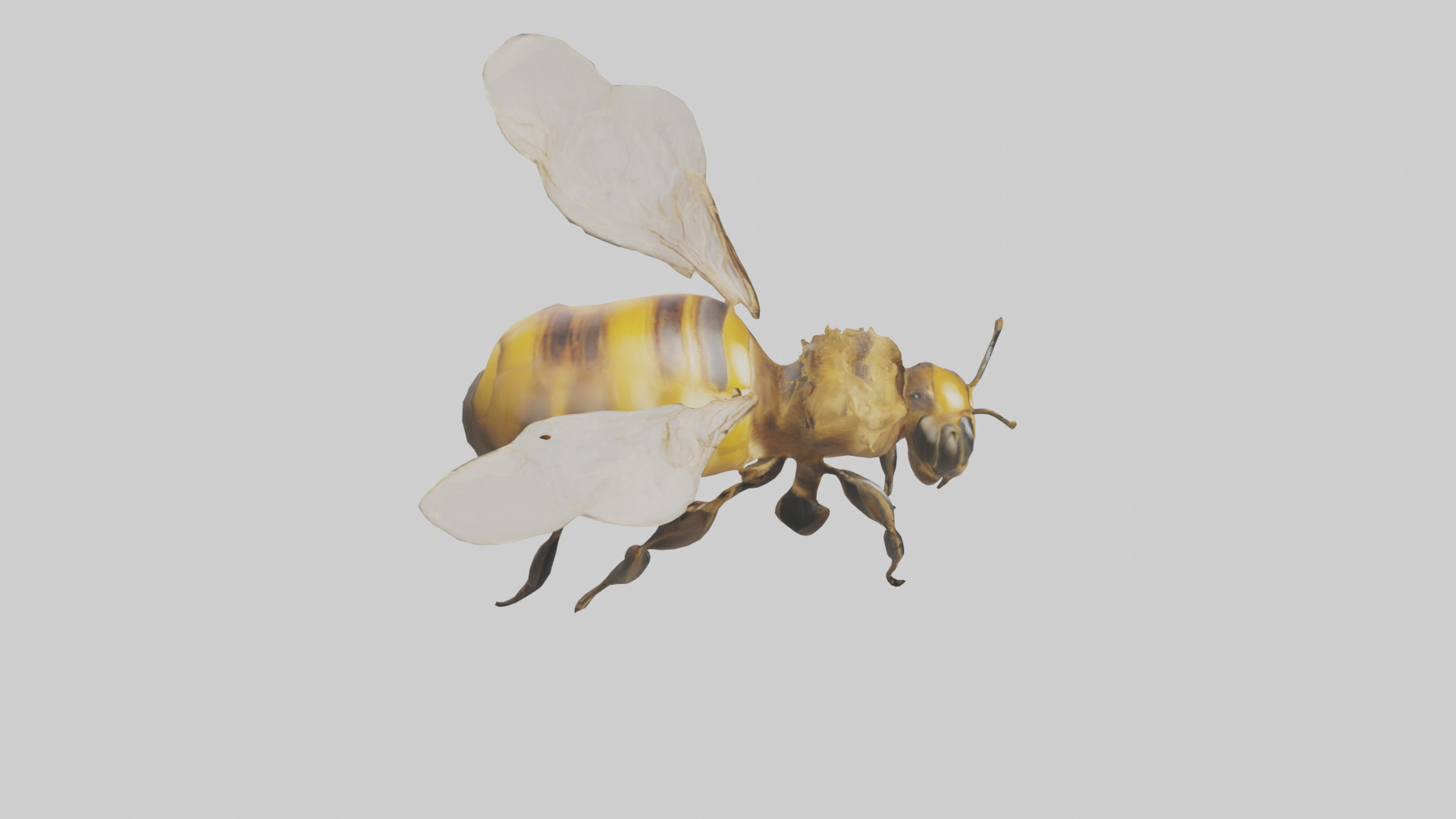 Honeybee flying model Low-poly 3D model_18