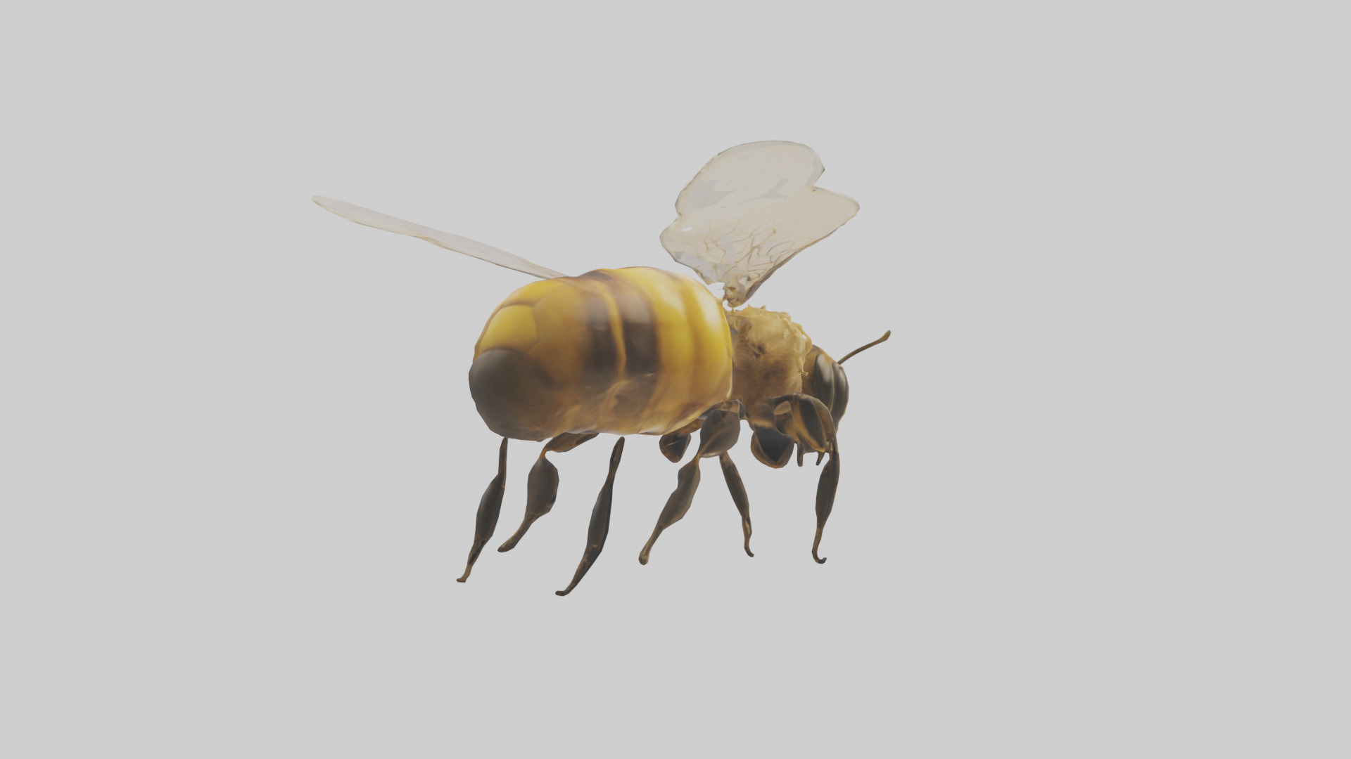 Honeybee flying model Low-poly 3D model_3