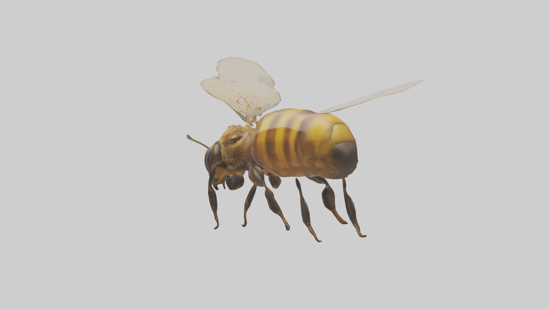 Honeybee flying model Low-poly 3D model_2