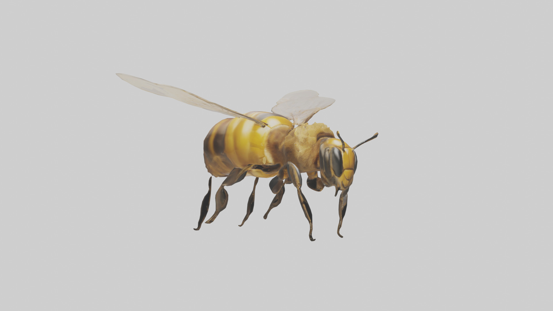 Honeybee flying model Low-poly 3D model_8