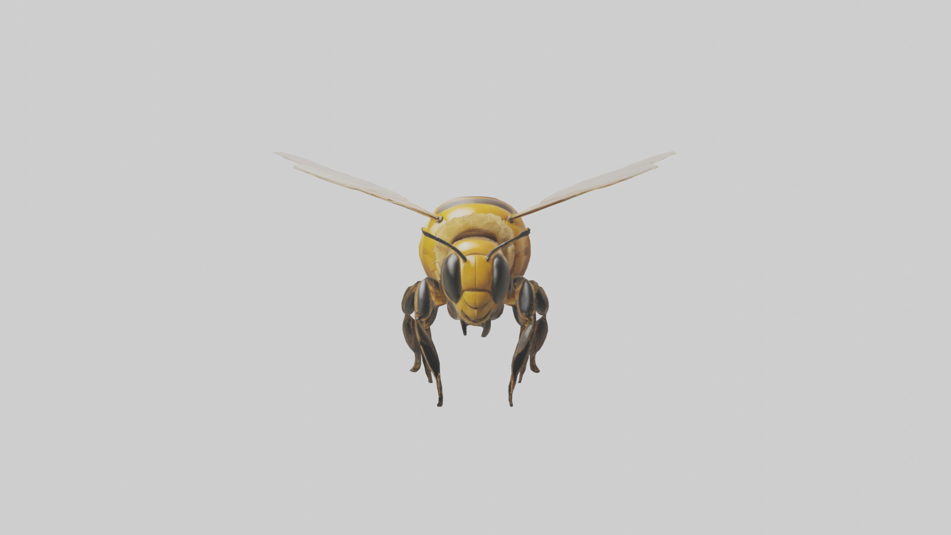 Honeybee flying model Low-poly 3D model_10