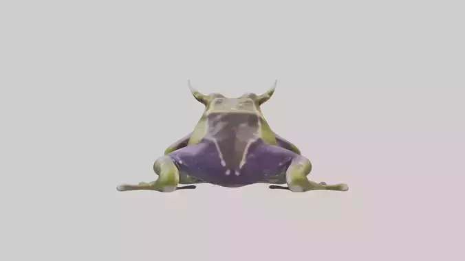 Horned Frog sitting model Low-poly 3D model