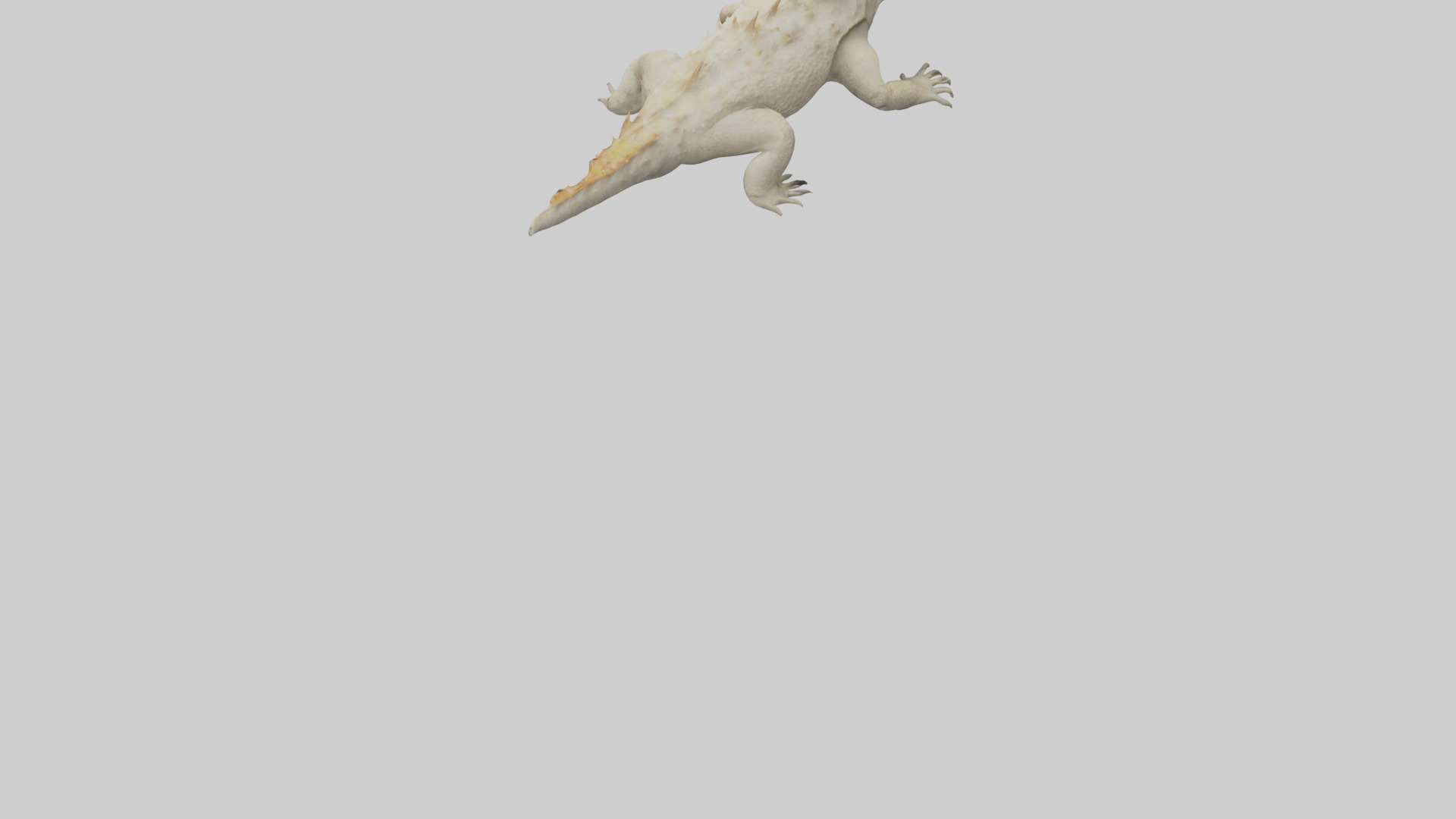 Horned Lizard resting model Low-poly 3D model_5
