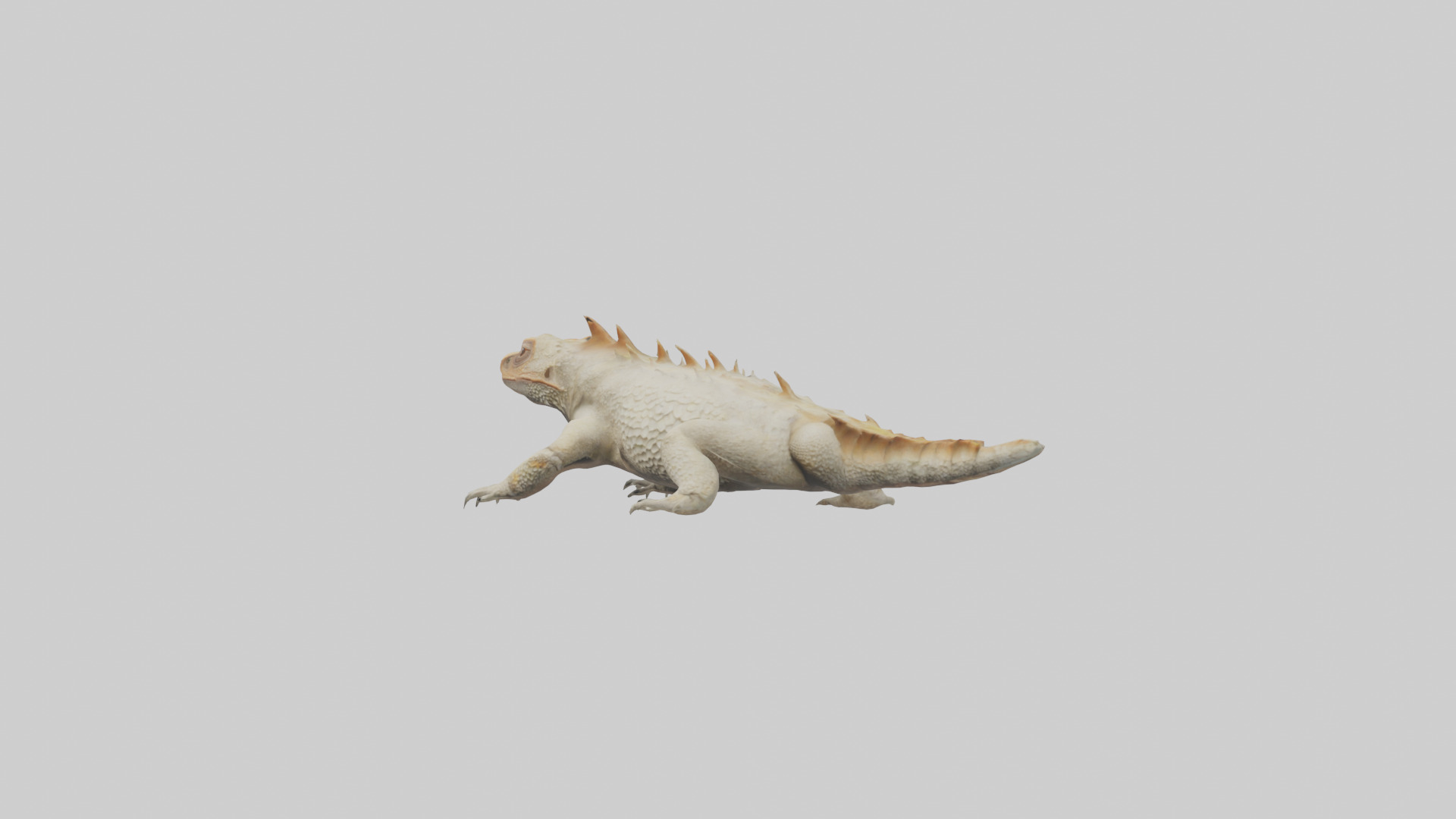Horned Lizard resting model Low-poly 3D model_1