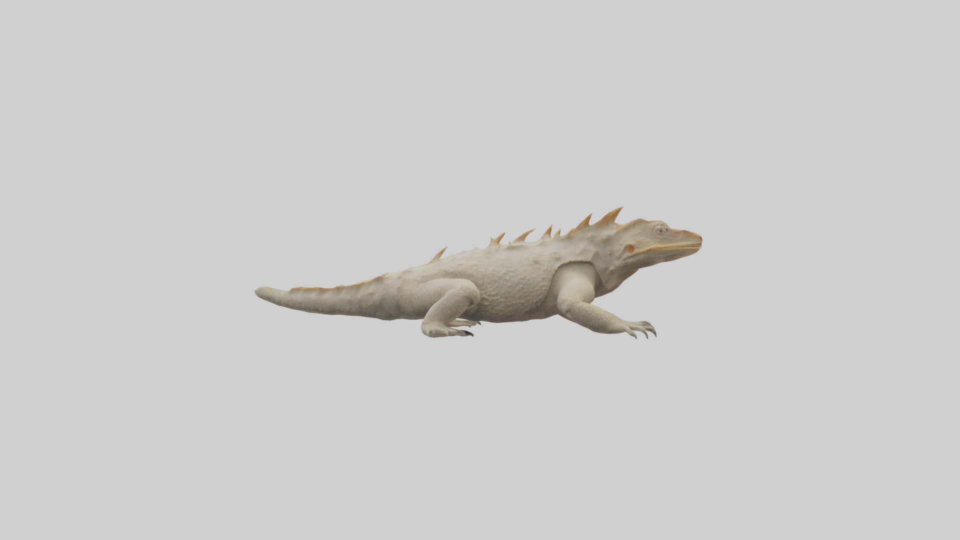 Horned Lizard resting model Low-poly 3D model_2