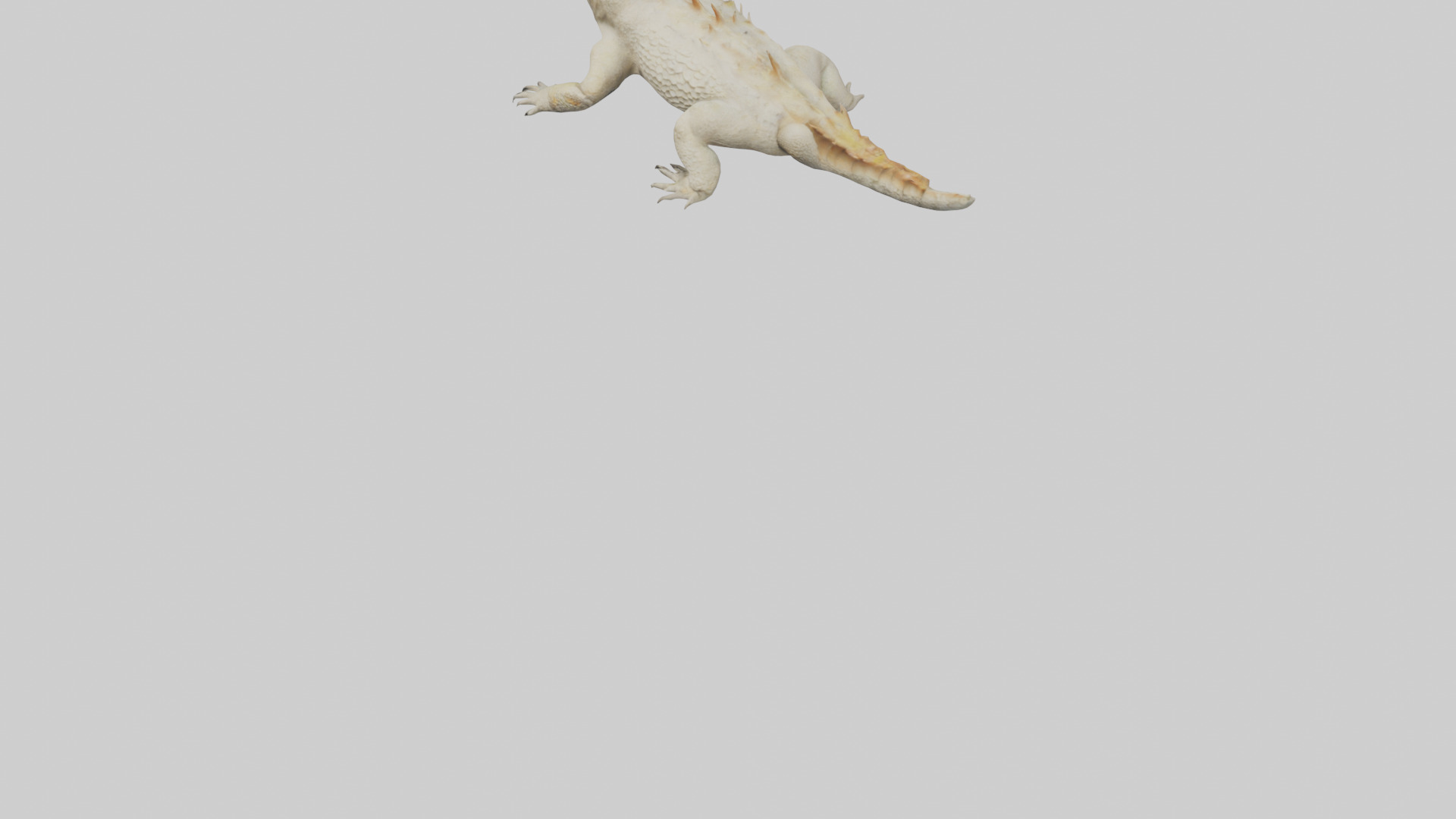 Horned Lizard resting model Low-poly 3D model_7