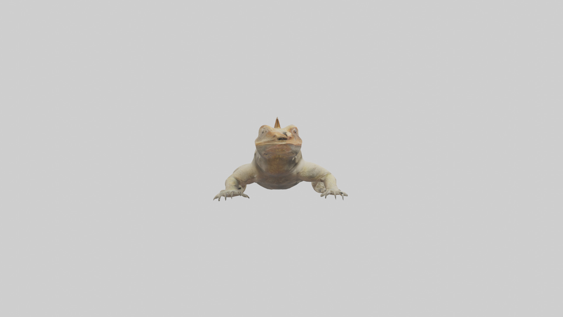 Horned Lizard resting model Low-poly 3D model_13