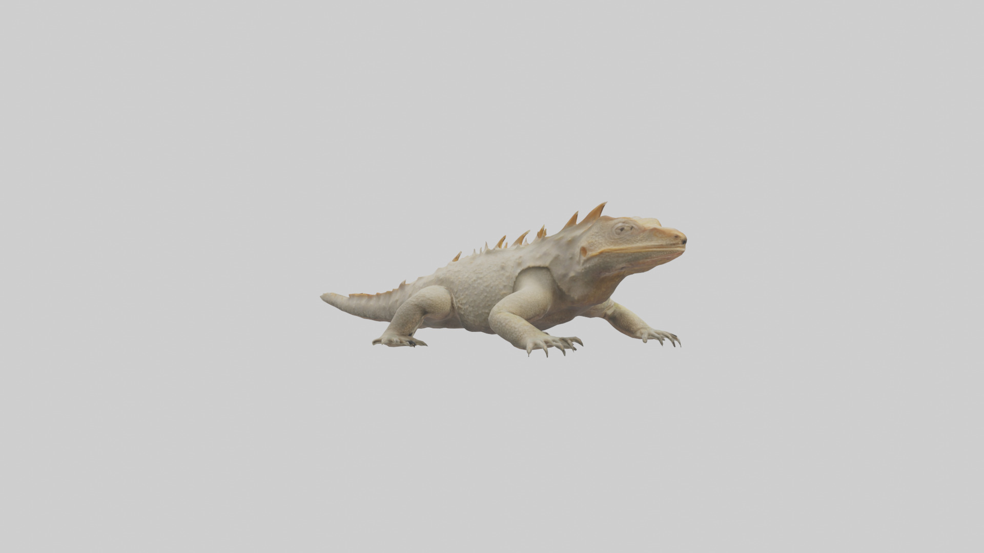 Horned Lizard resting model Low-poly 3D model_4
