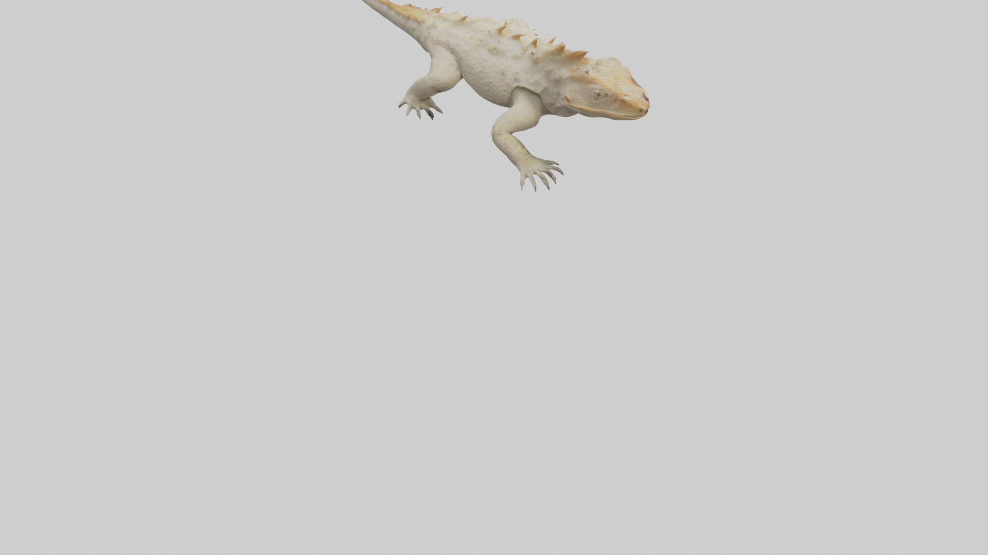 Horned Lizard resting model Low-poly 3D model_6