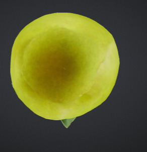 Pear Low-Poly 3D model_4
